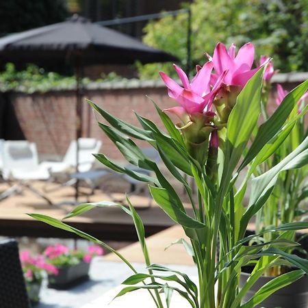 Charmehotel Villa Saporis Hasselt Bagian luar foto