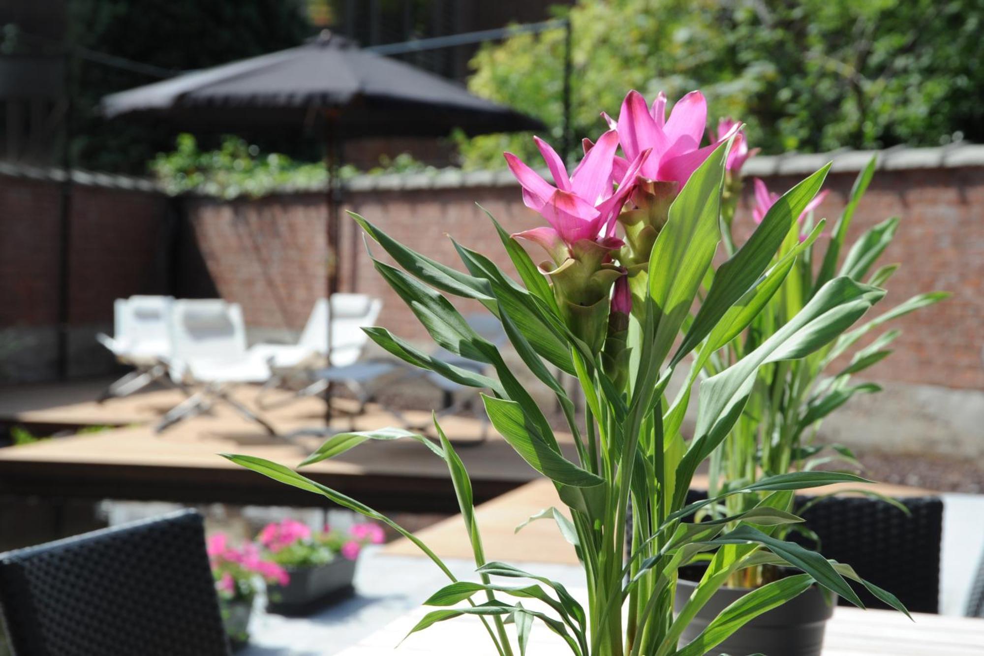 Charmehotel Villa Saporis Hasselt Bagian luar foto